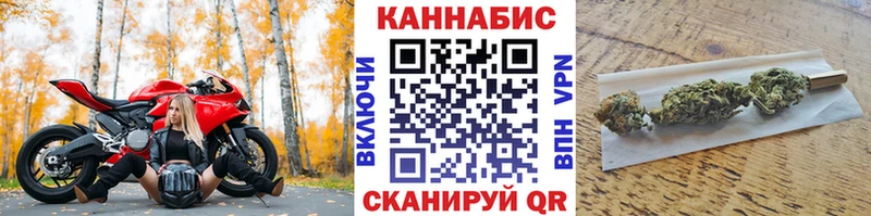Канабис планчик  Гороховец 
